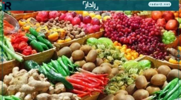 تحديث يومي.. تعرف على تغيرات أسعار الخضروات والفاكهة في 17 ديسمبر 2025